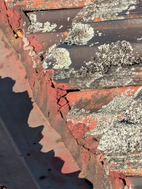 Close up of a broken roof tile causing a potential leak