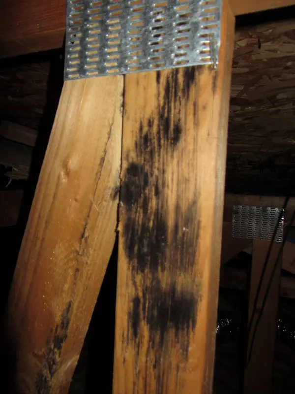Internal water damage caused by an unrepaired roof leak