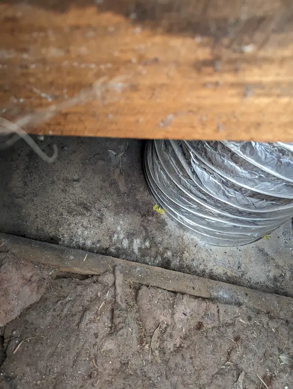 Water stain on ceiling indicating a roof leak