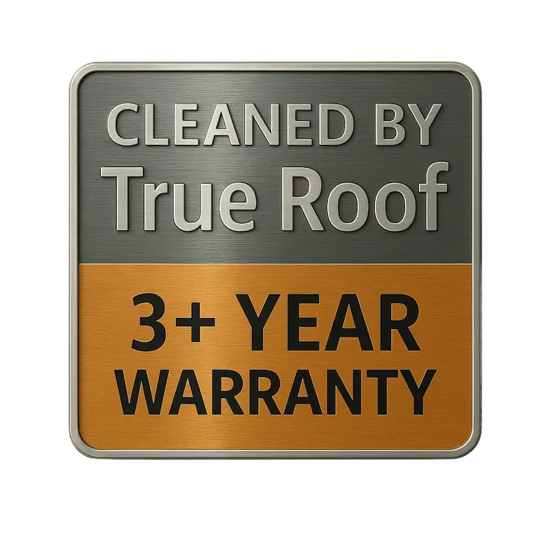 Rated 5 Stars on Google for Roof Leak Repairs Google 5 Star Reviews Melbourne Roof Repairs