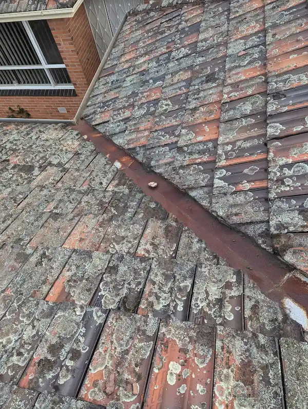 Another roof example before Soft Wash treatment