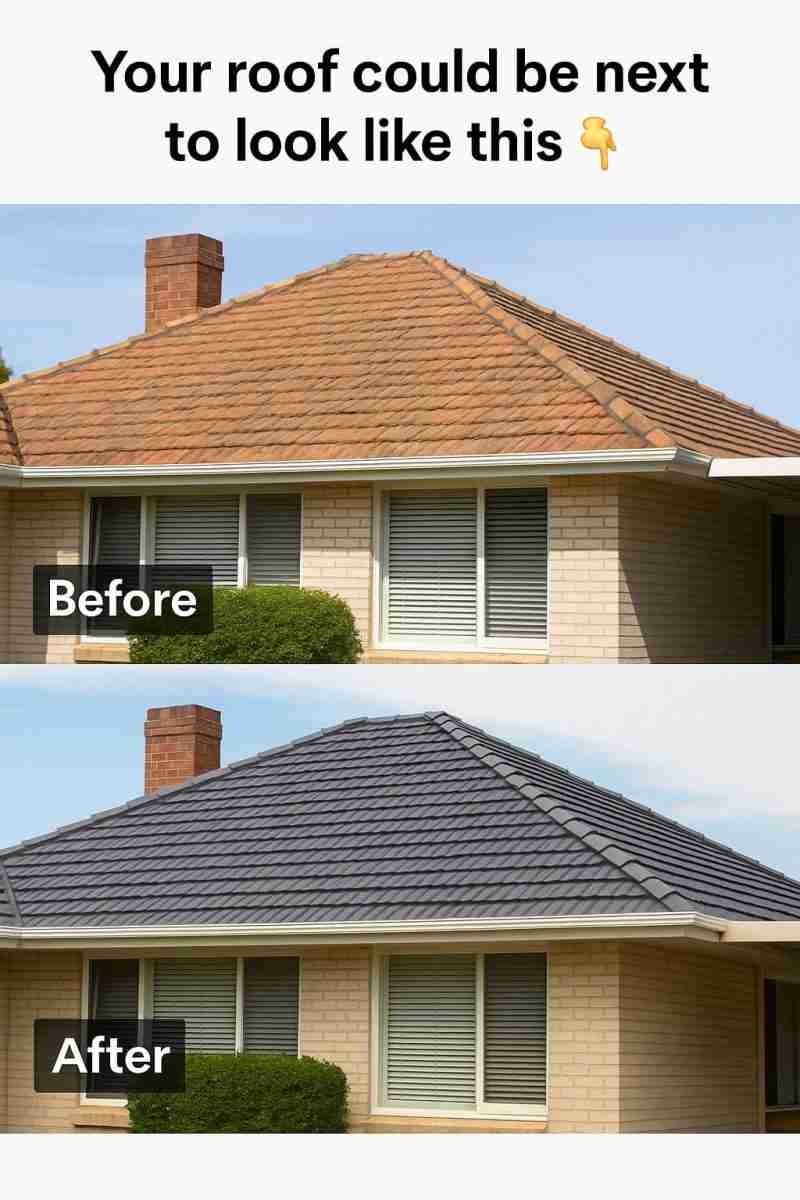 Before Roof Restoration Example 2 - moss and dirt