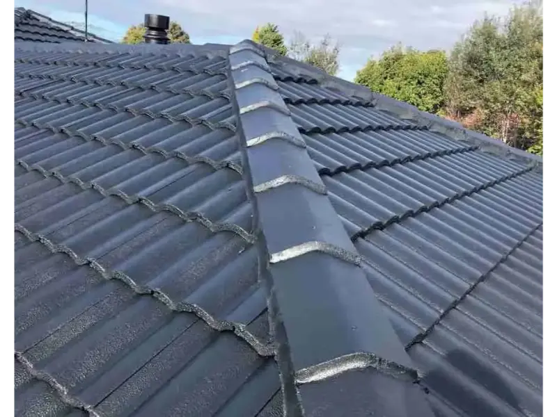 Roof Restoration in Melbourne- black painted and sealed roof